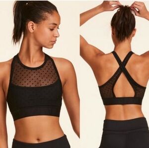 Alala Gwen Bra - Black Tulle Dot - Small